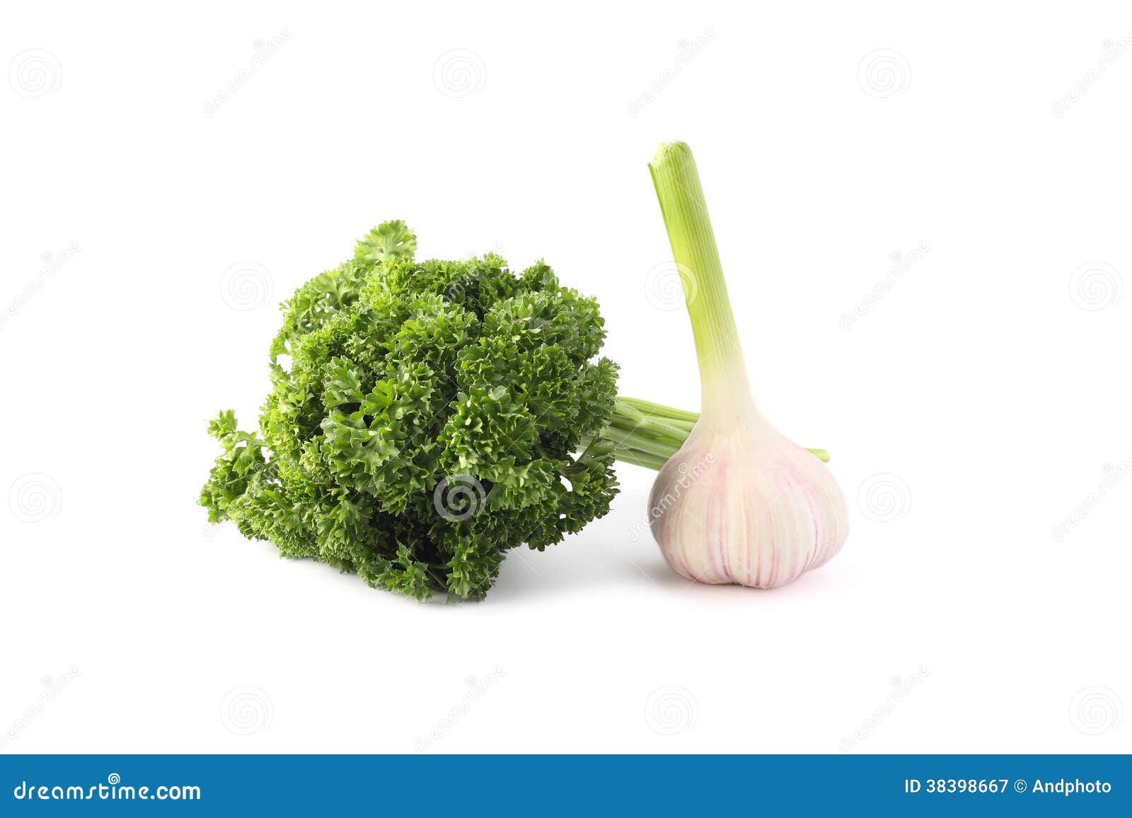 Parsley and garlic stock image. Image of isolated, nature 38398667