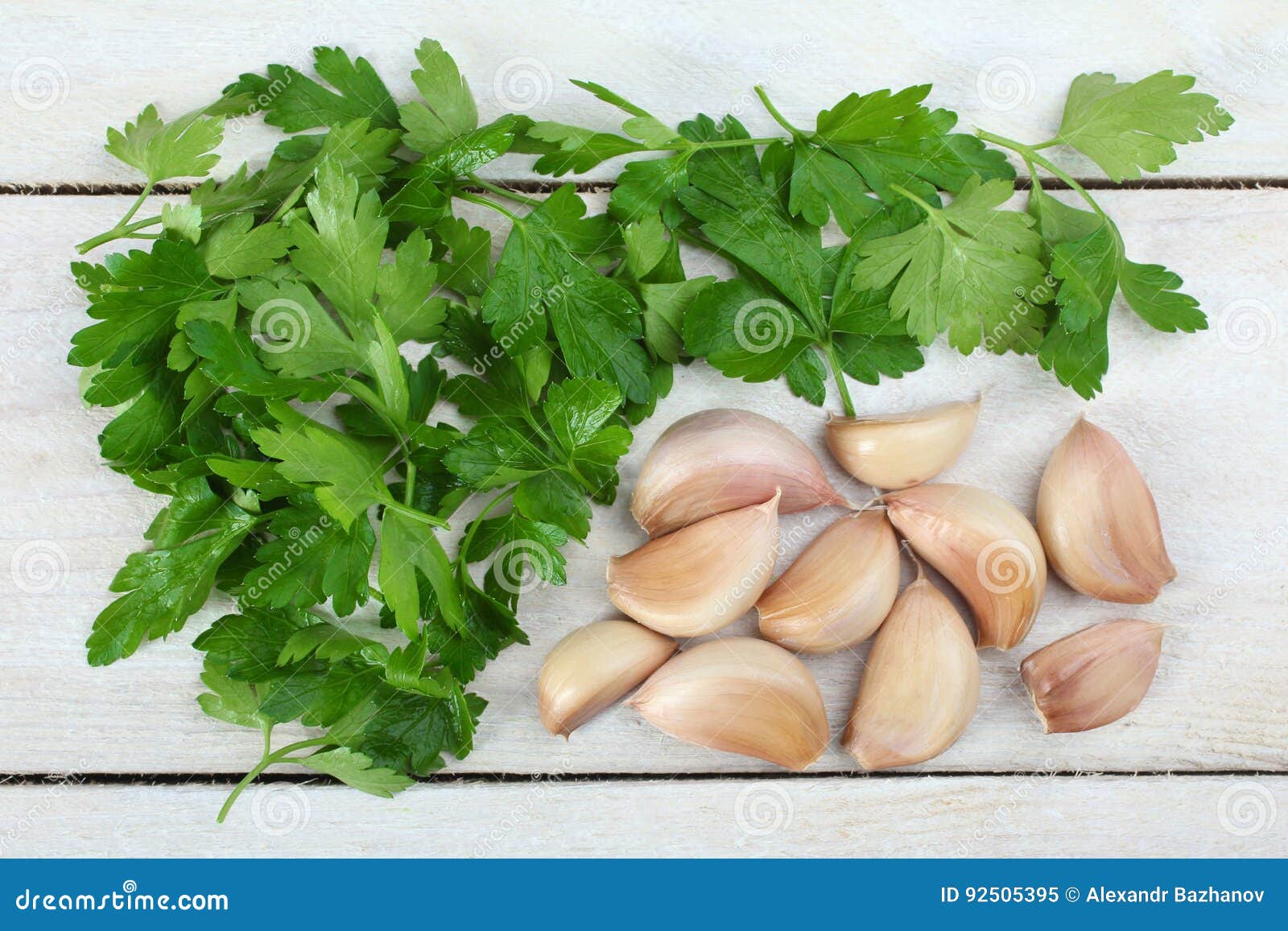 Parsley and garlic stock image. Image of vitamin, acute 92505395