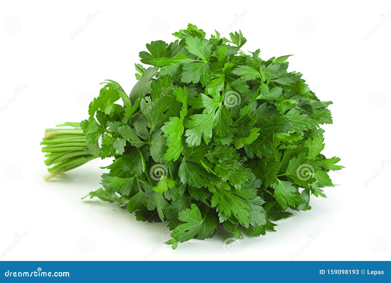 parsley herb bunch