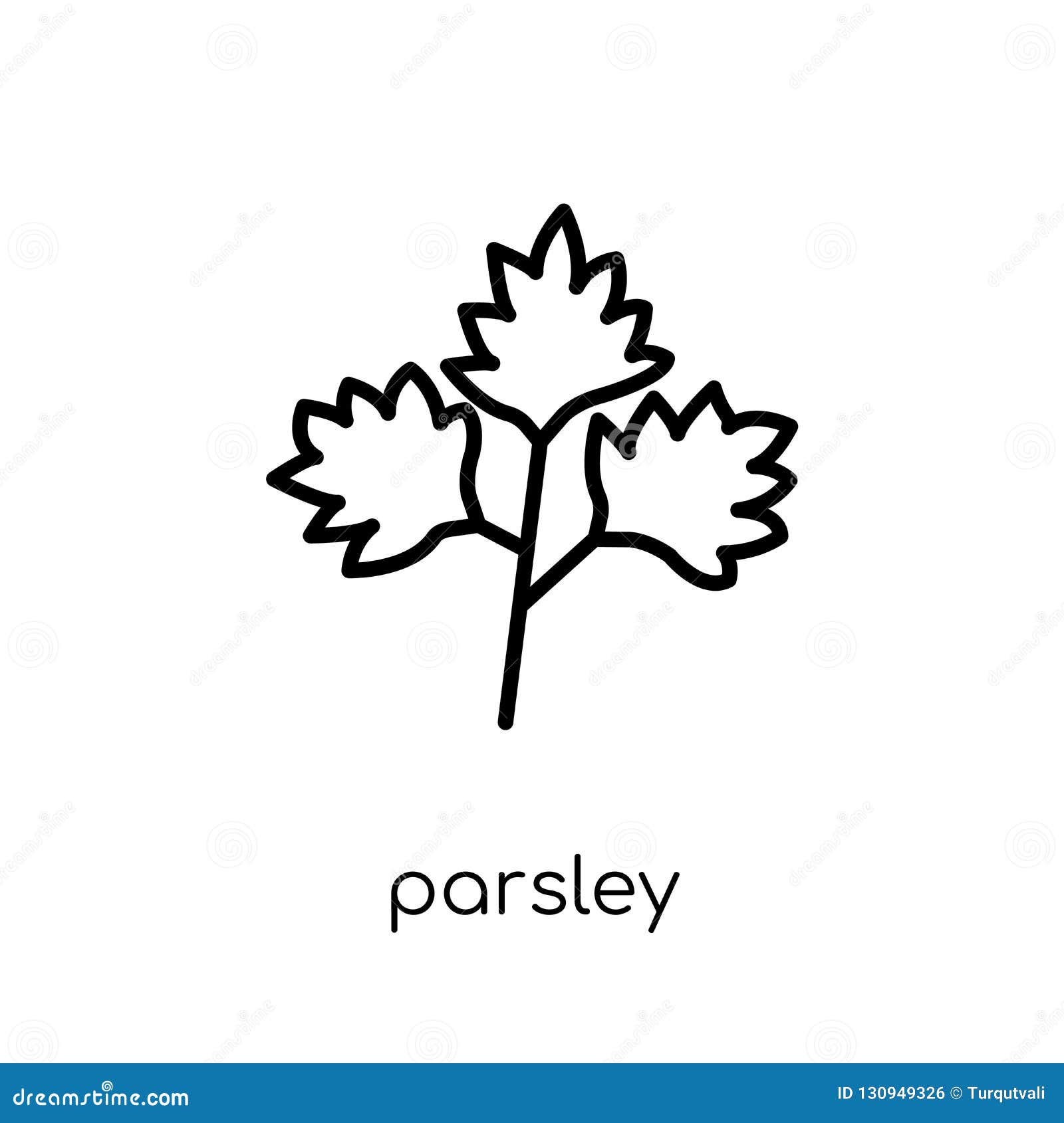 Parsley Icon from Fruit and Vegetables Collection. Stock Vector
