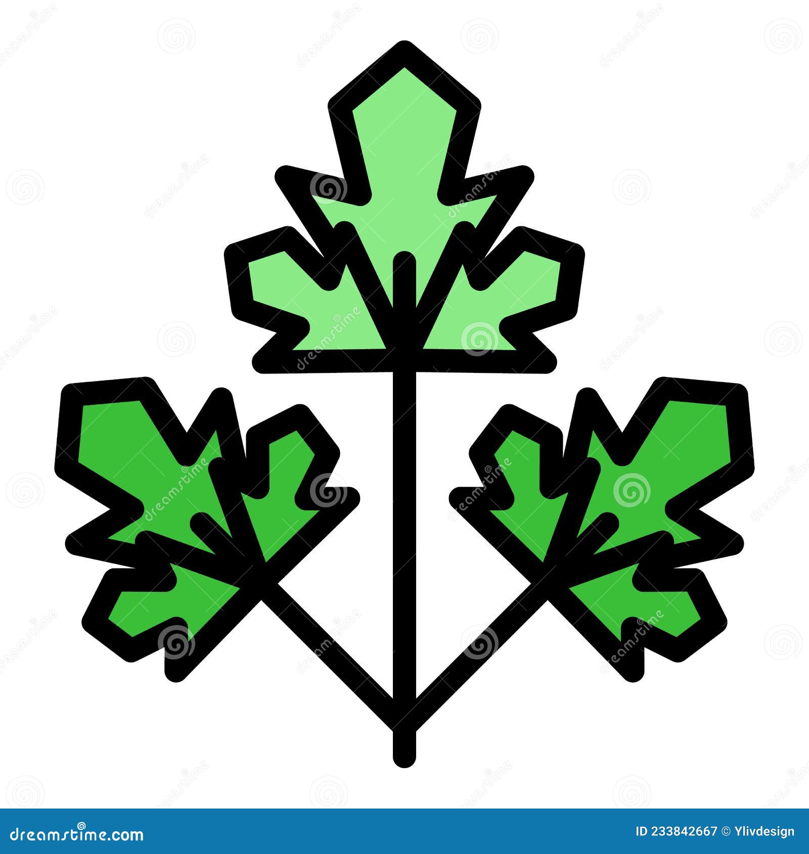 Parsley Leaf Cartoon Vector 13416327