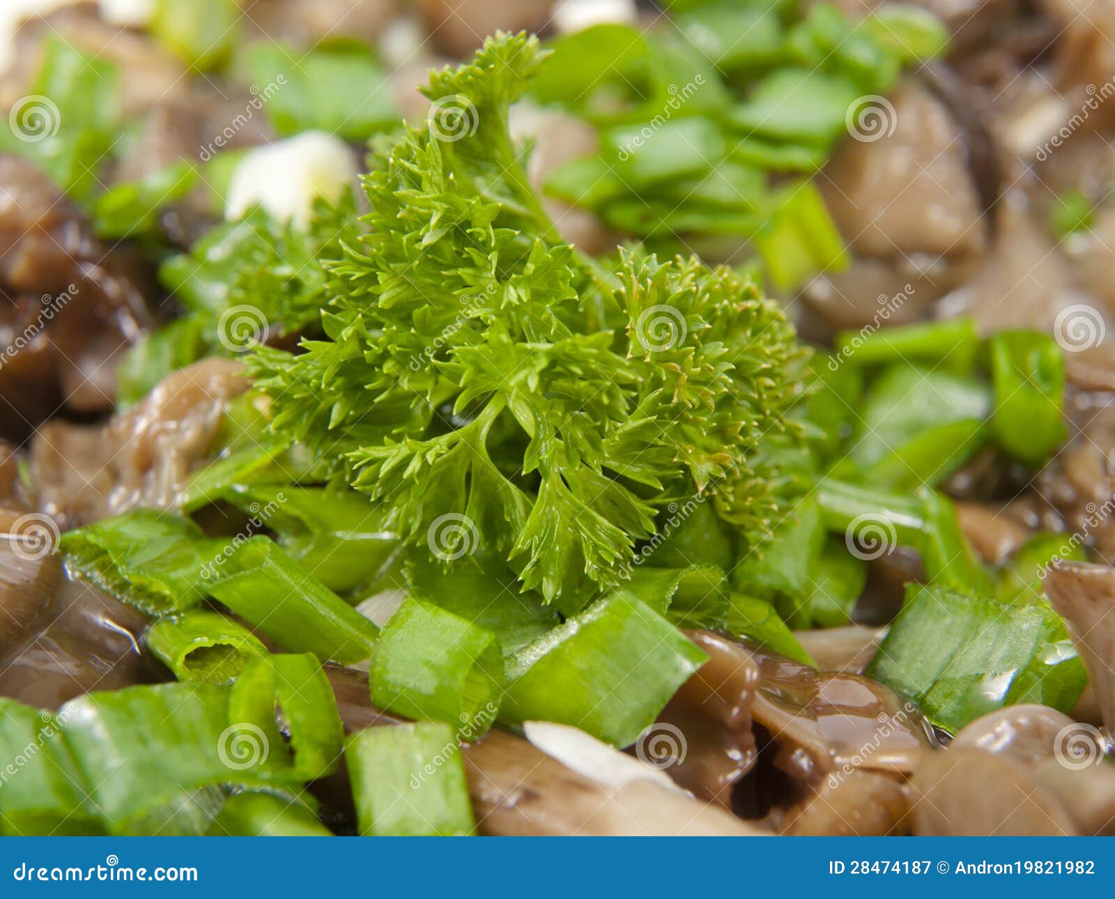 Parsley leaf on salad stock image. Image of onions, parsley 28474187