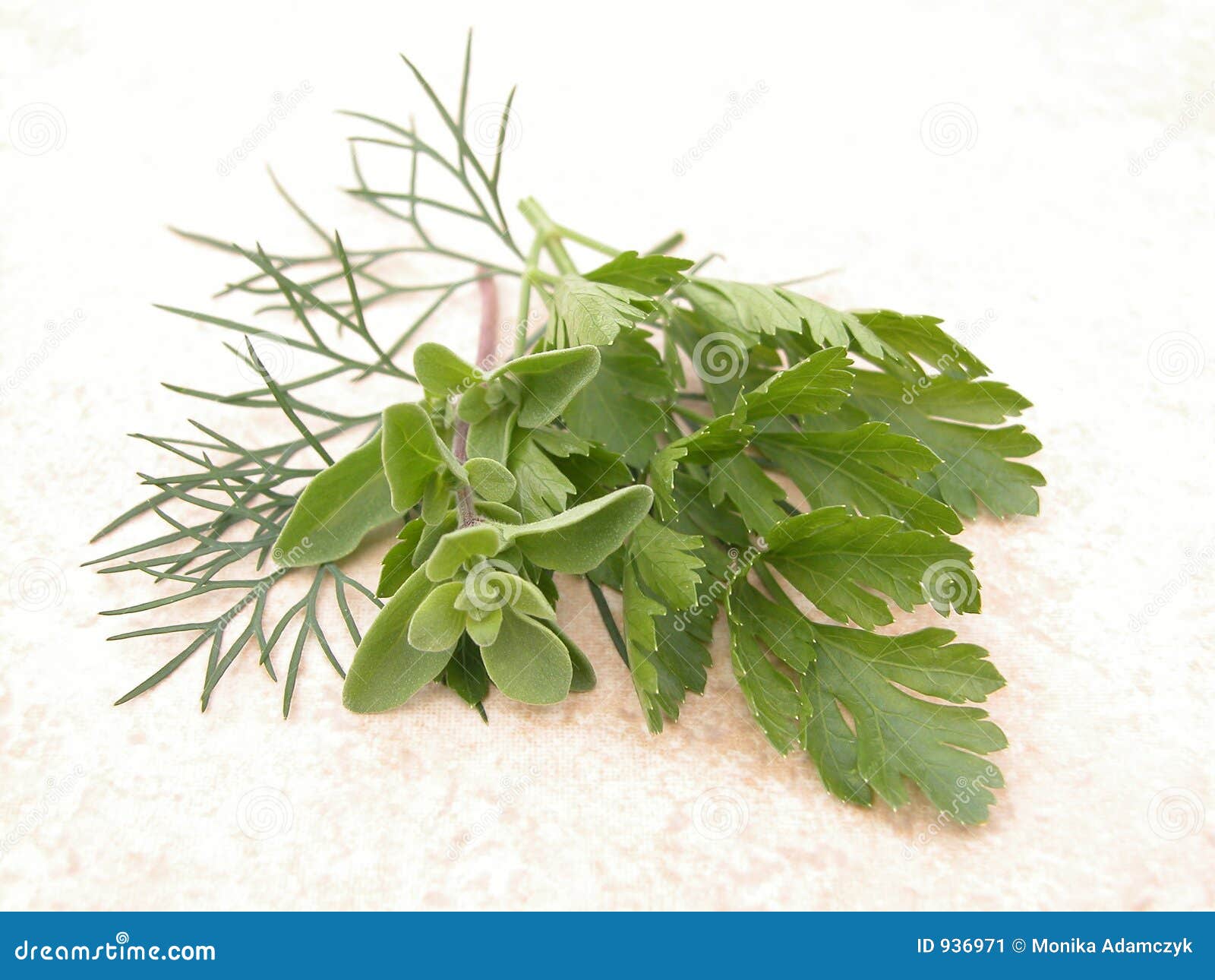 Parsley marjoram and dill stock image. Image of healthy 936971