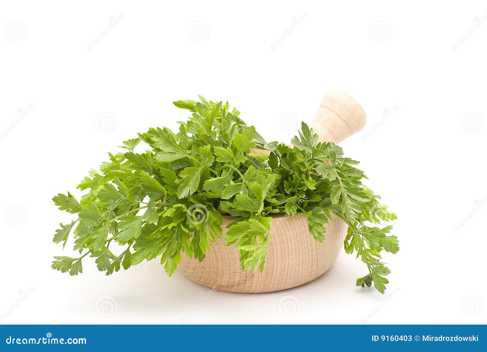 Parsley in mortar stock image. Image of vegetarian, branch 9160403