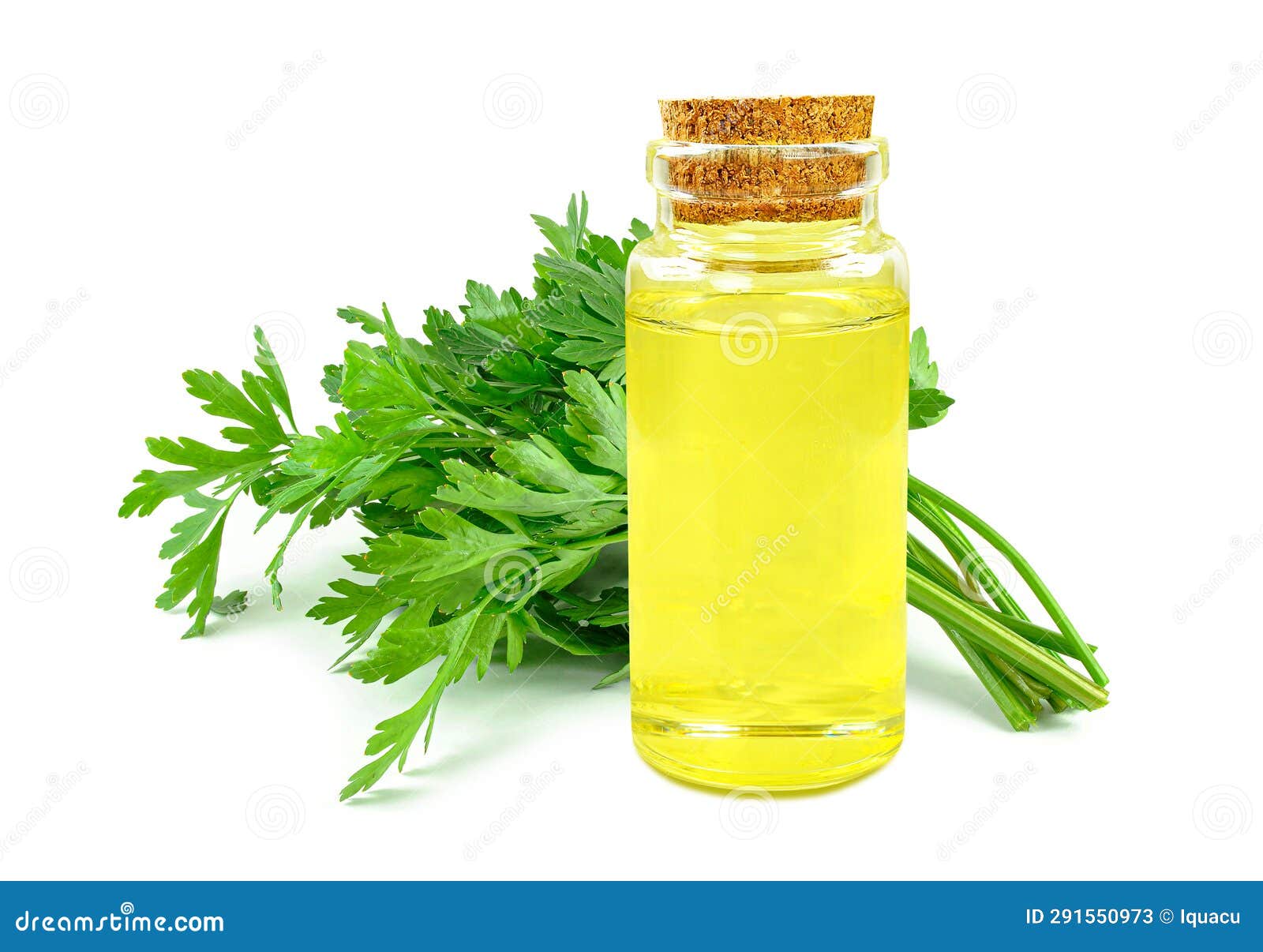 Parsley oil stock image. Image of herbal, object, food 291550973