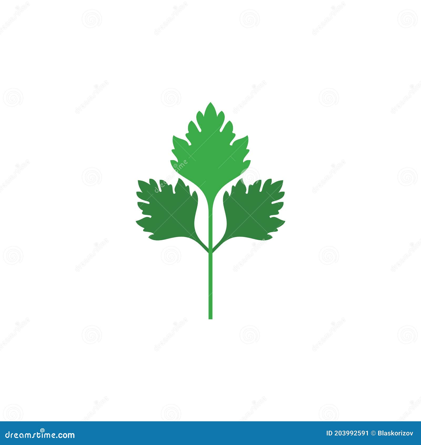 Parsley Plant Logo Vector Icon Design Element Stock Vector