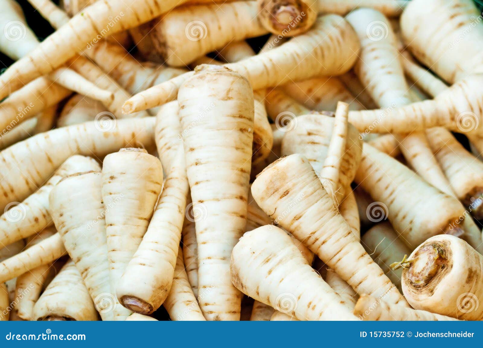 Parsley root stock photo. Image of spicy, herb, ingredient 15735752