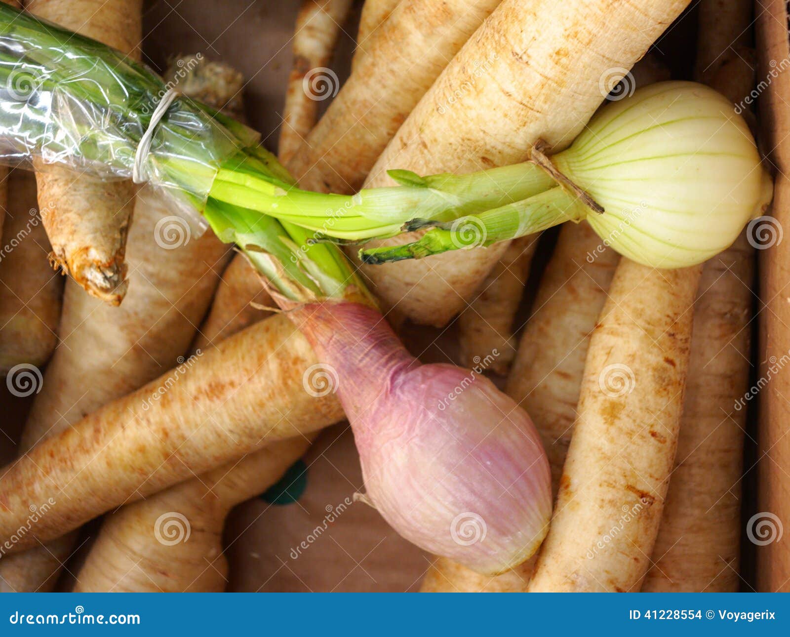 Onion Market