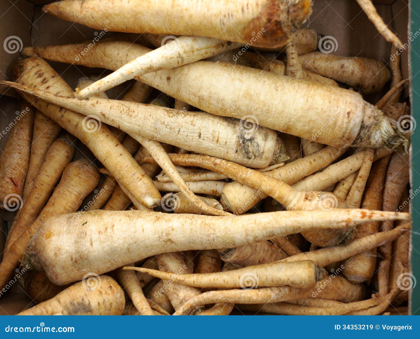 Parsley Roots in Market As Background Stock Image Image of