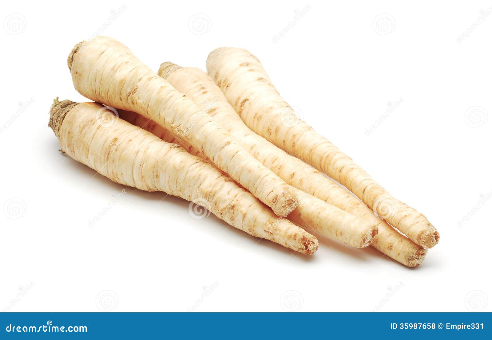Parsley roots stock photo. Image of plant, root, turnip 35987658