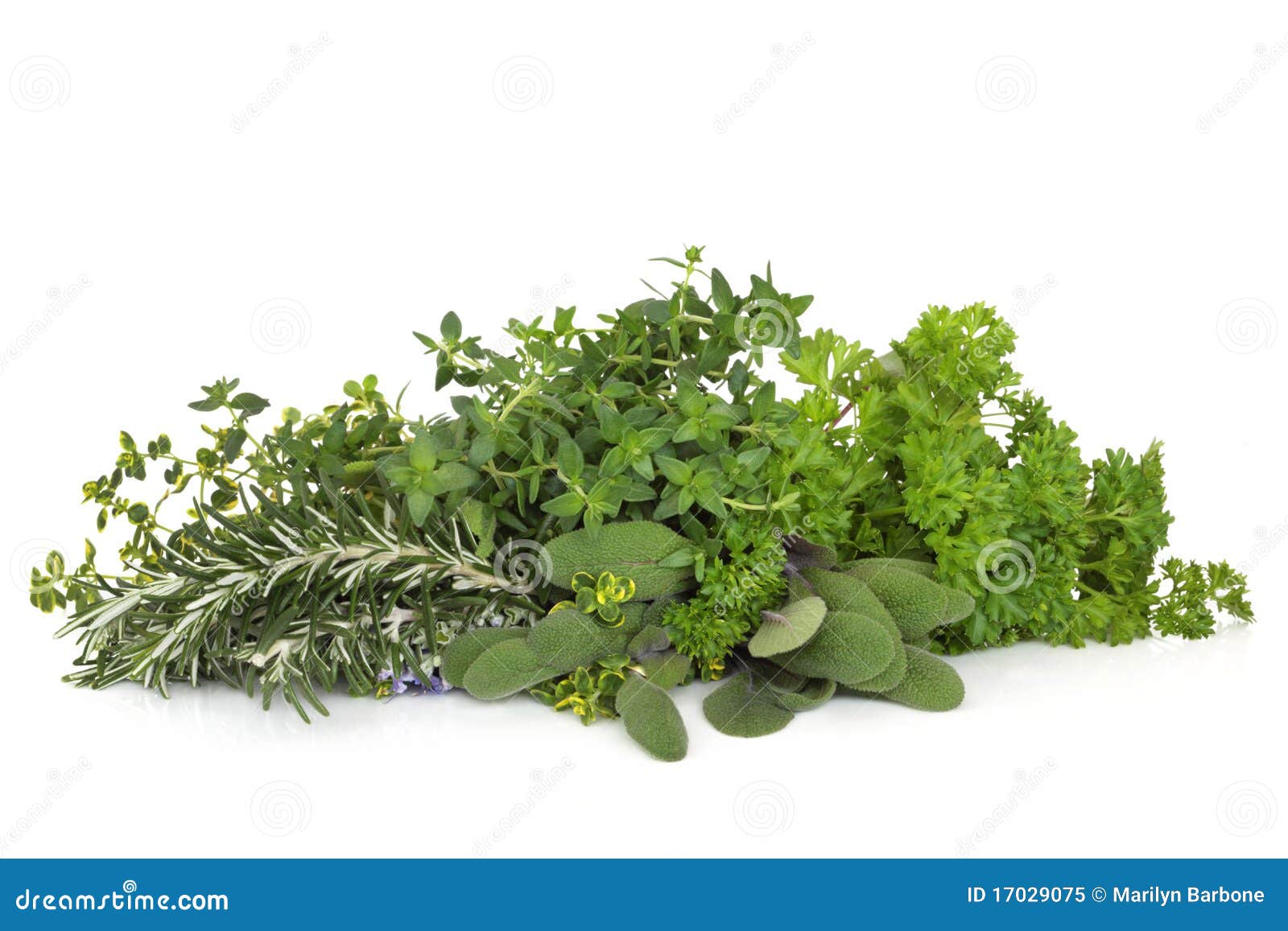 Rosemary Sage Parsley and Thyme - The Peppermill