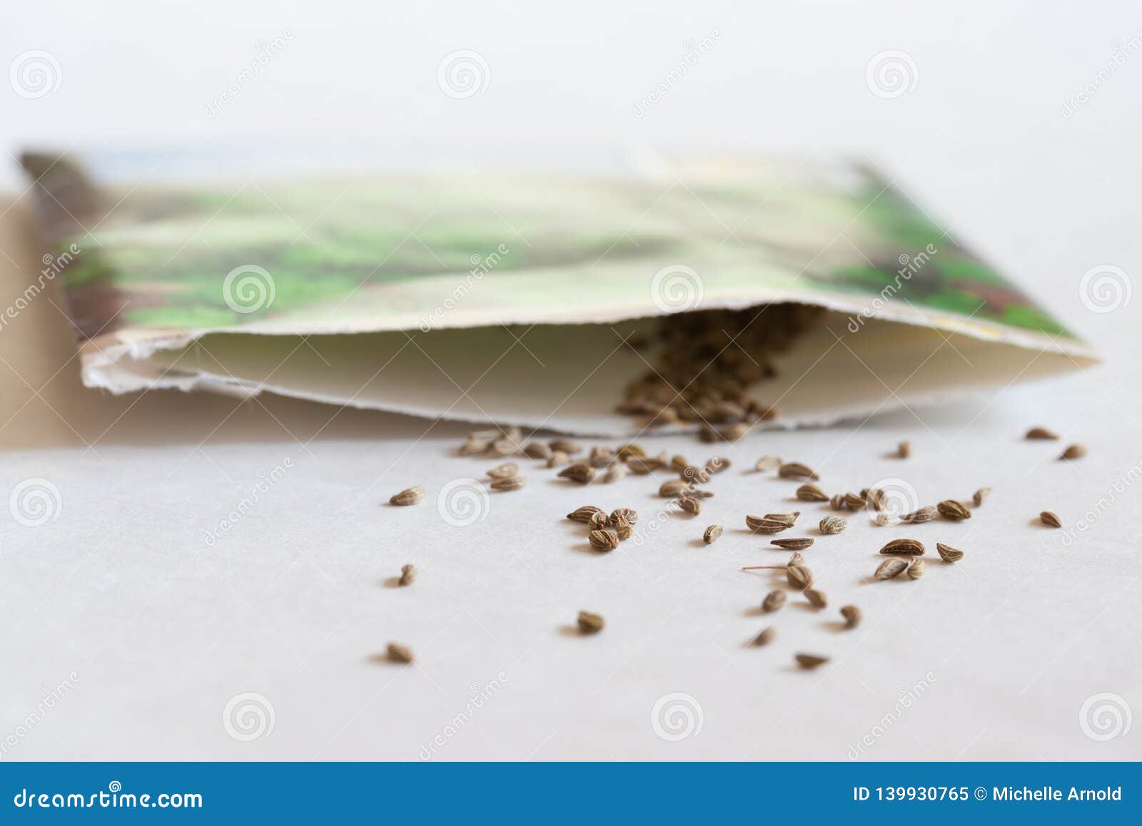 Parsley Seeds Spilled From A Seed Packet Stock Image - Image of spilling, s...