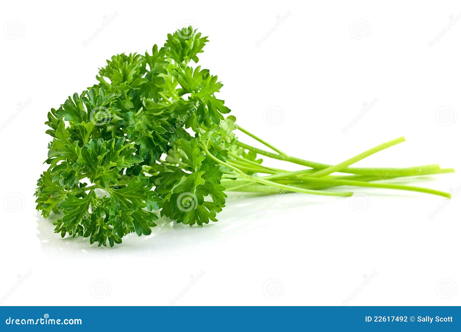 parsley sprigs