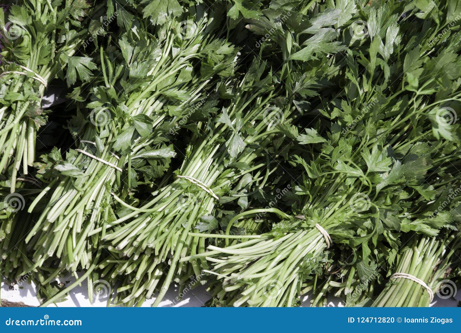 Parsley Stacked on Grocery Shop Stock Photo Image of leaf
