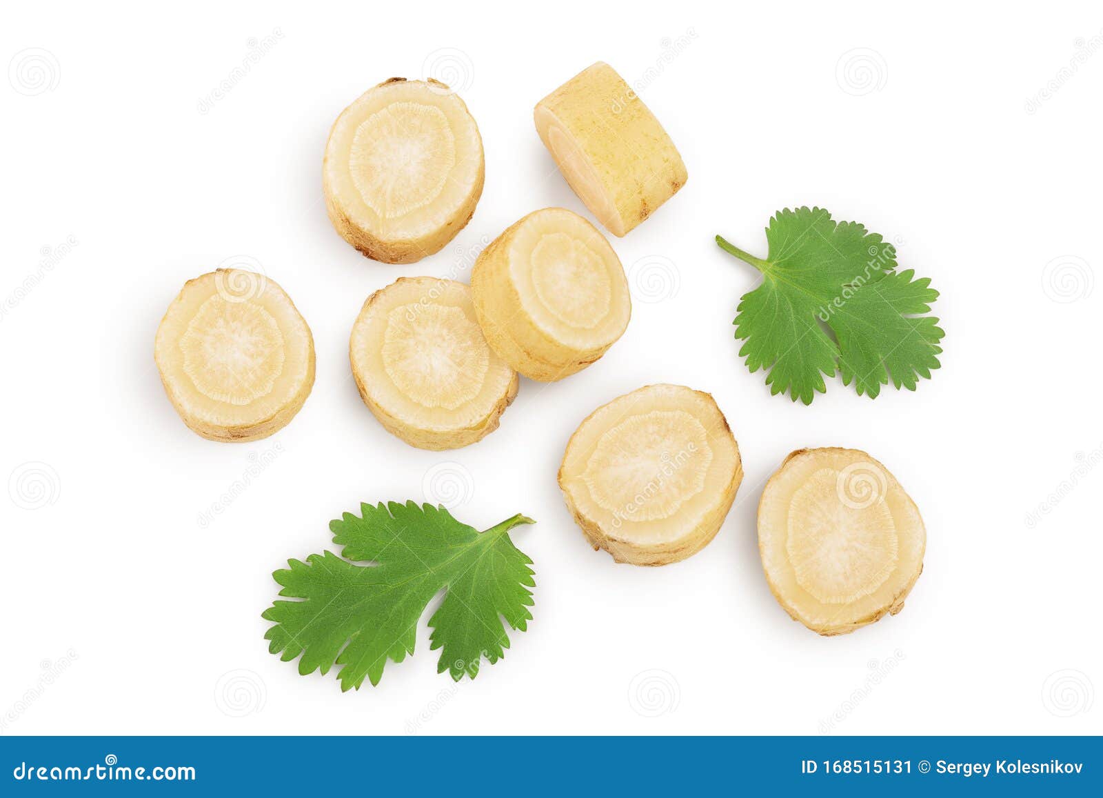 Parsnip Root Slices with Parsley Isolated on White Background with