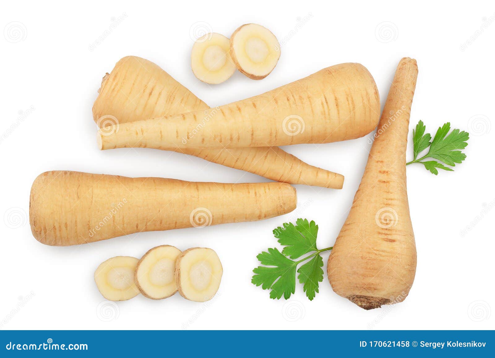 Parsnip Root and Slices with Parsley Isolated on White Background with