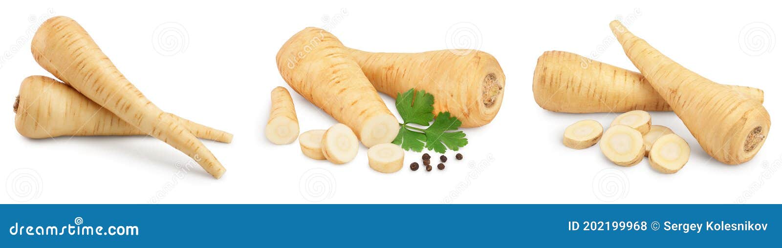 Parsnip Root and Slices with Parsley Isolated on White Background