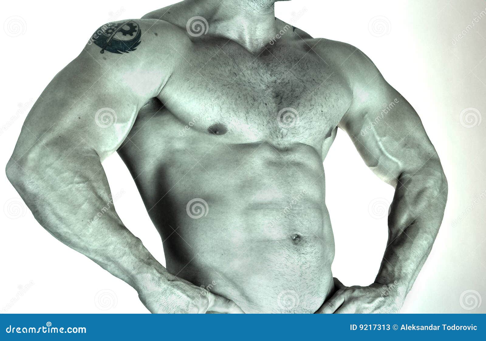 Males Body (part) Stock Image - Image: 14070511