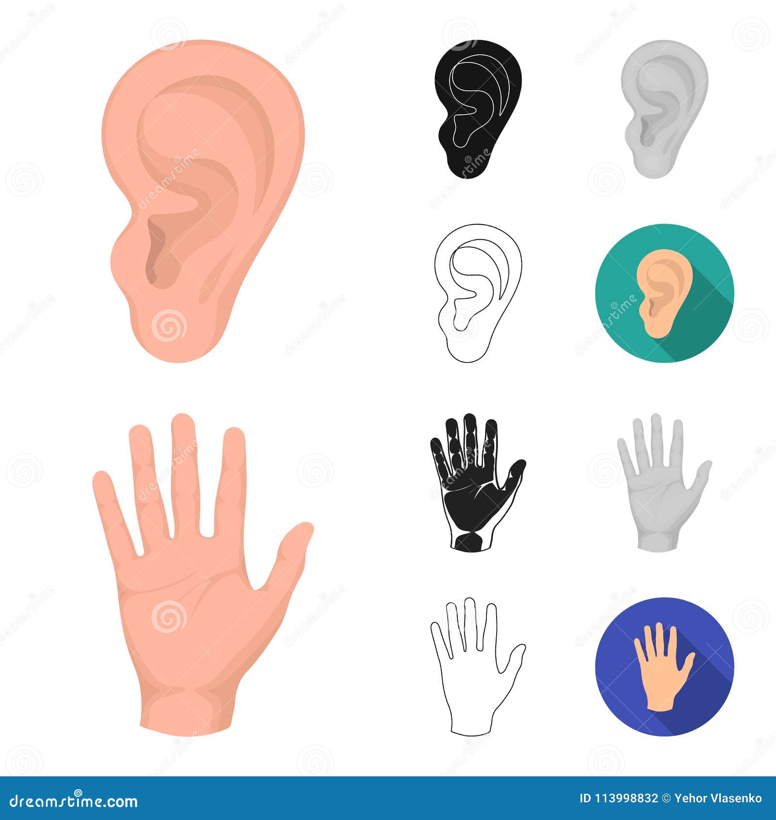 Part Of The Body, Limb Cartoon,Black,Flat,Monochrome,Outline Icons In Set Collection For Design. Human Anatomy Vector Illustration 113998832 - Megapixl Part Of The Body, Limb Cartoon,Black,Flat,Monochrome,Outline Icons In Set Collection For Design. Human Anatomy Vector Illustration 113998832 - Megapixl