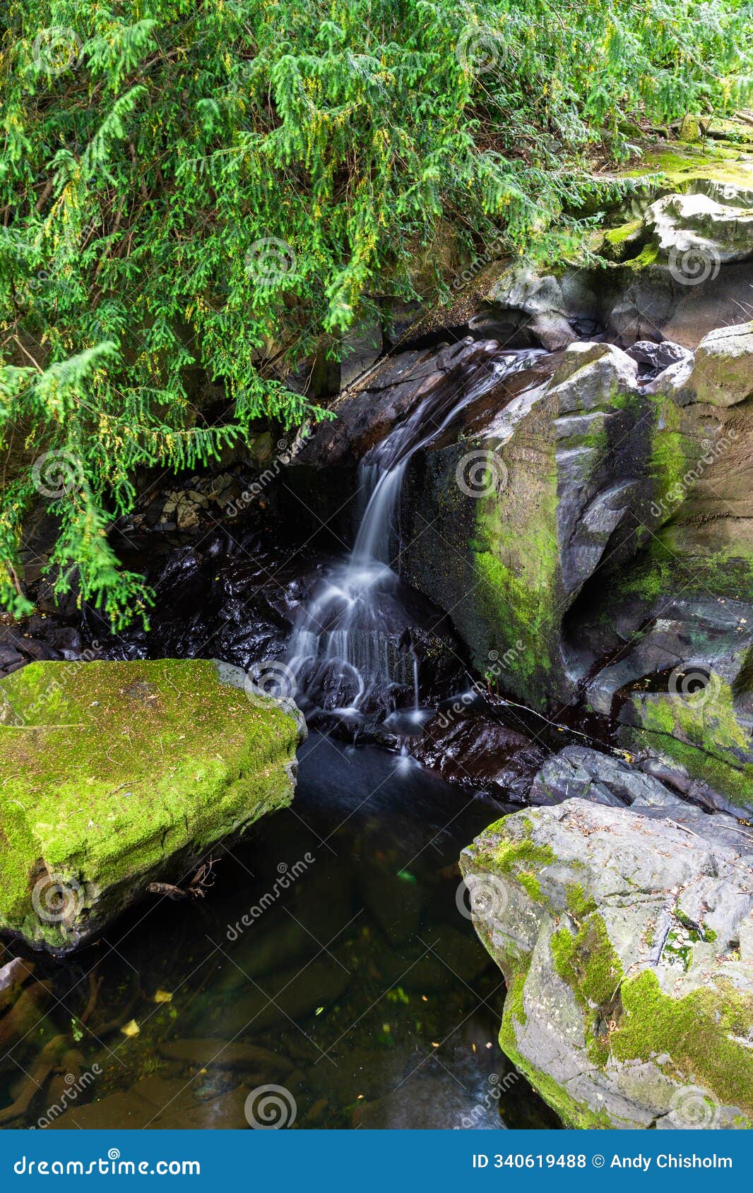 part of the fairy falls rhaeadr y tylwyth teg in welsh, in the village of trefriw. low in summer