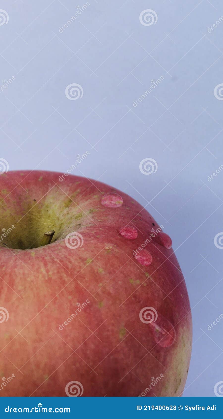 Part of Fuji Apple stock photo. Image of fuji, foodporn 219400628