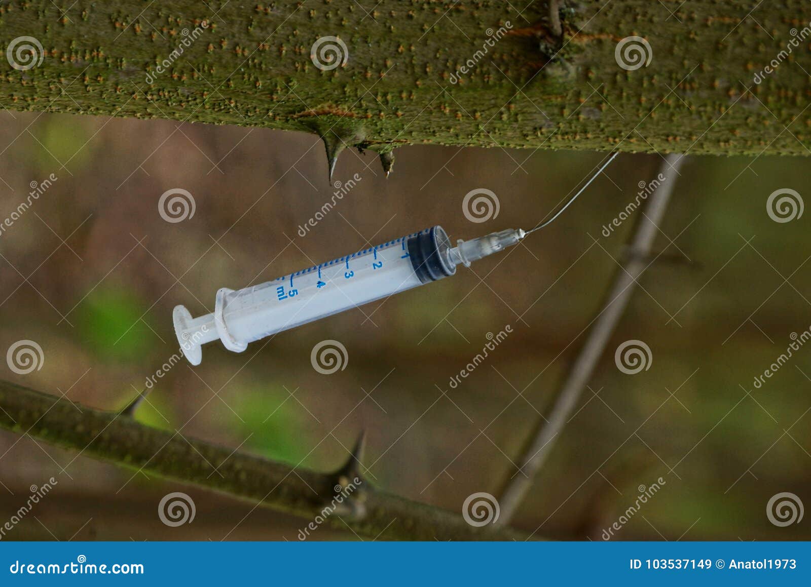 Empty White Syringe Sticks Out in a Tree with Thorns Stock Image