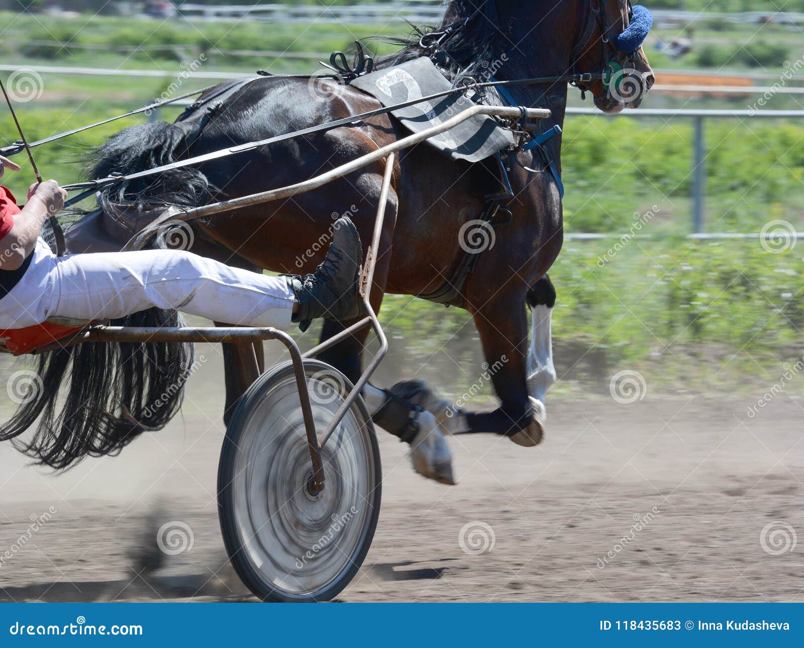 Parte Della Razza Dello Zampone Del Cavallo Sul Movimento Sbagliato Corsa Di Cavallo Da Corsa Al Trotto In Dettaglio Immagine Stock Immagine Di Cavallo Derby