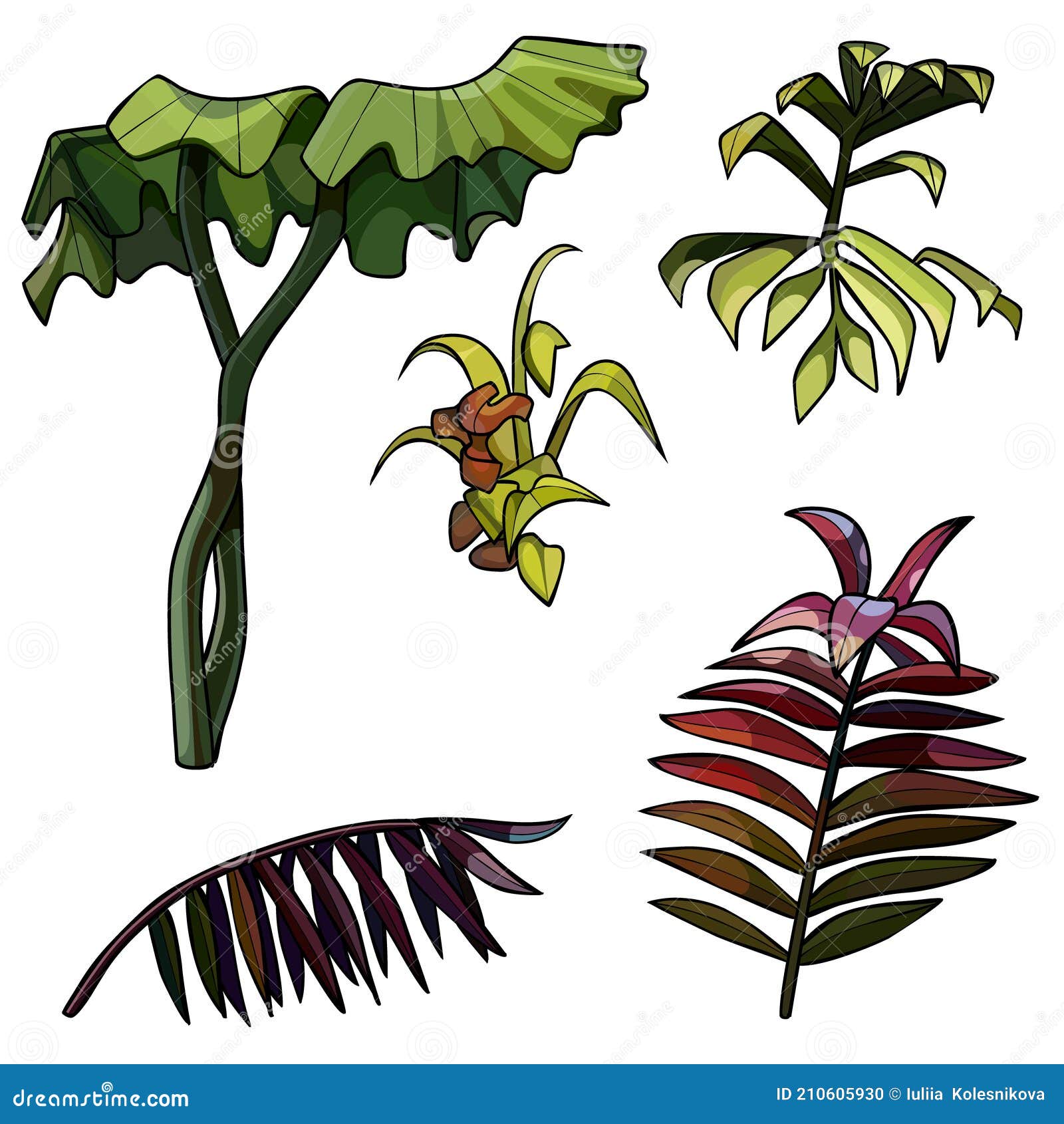 Partes De Dibujos Animados Y Hojas Separadas De Plantas Tropicales  Ilustración del Vector - Ilustración de helecho, verde: 210605930