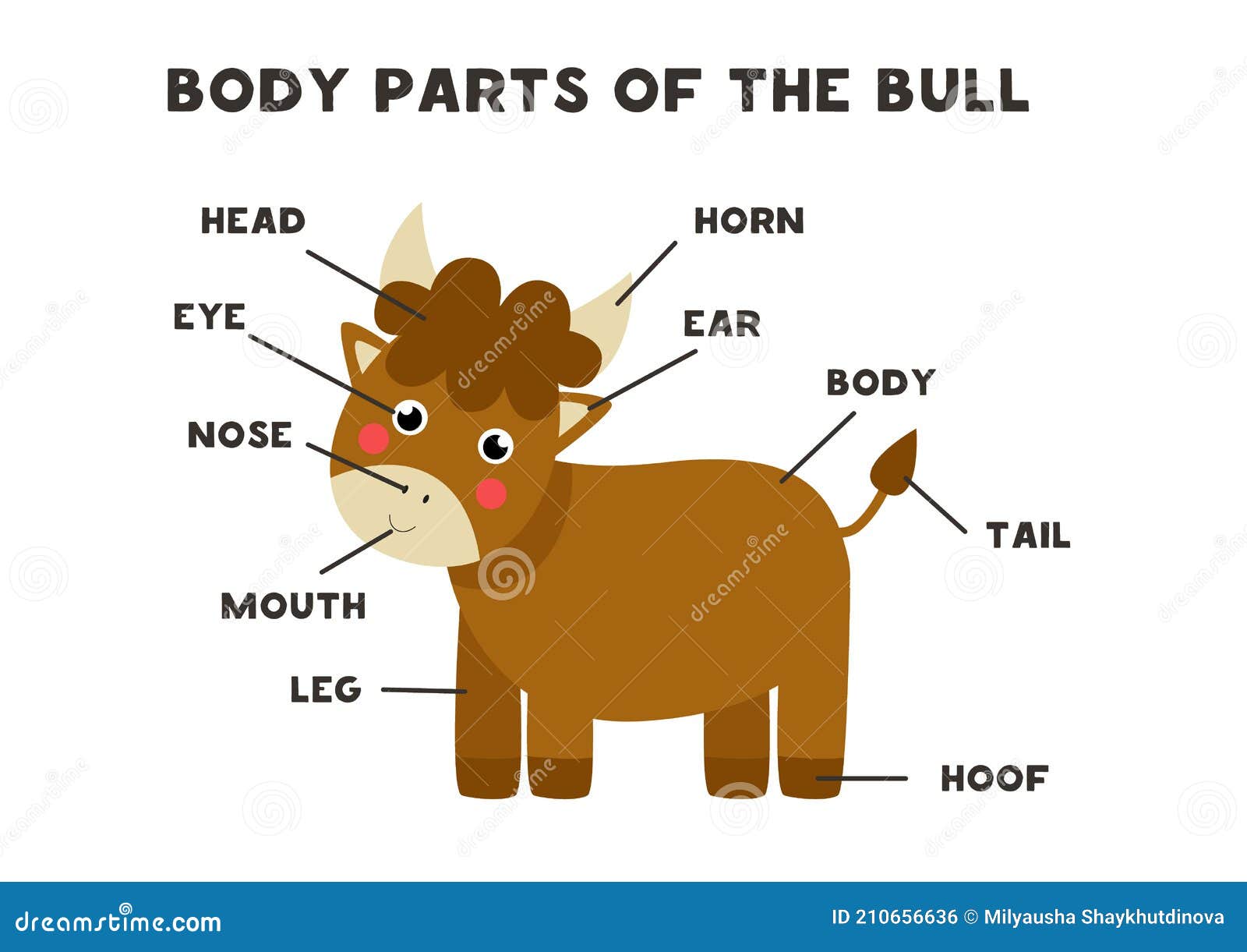 Partes Del Cuerpo Del Toro. Programa Para Niños. Ilustración del Vector - Ilustración de animal, toro: 210656636 Partes Del Cuerpo Del Toro. Programa Para Niños. Ilustración del Vector - Ilustración de animal, toro: 210656636