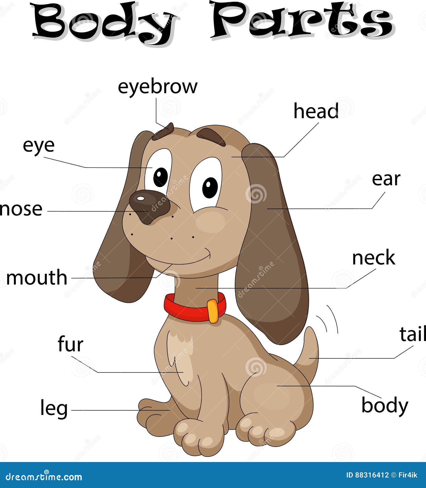 Parti del corpo del cane illustrazione vettoriale. Illustrazione di