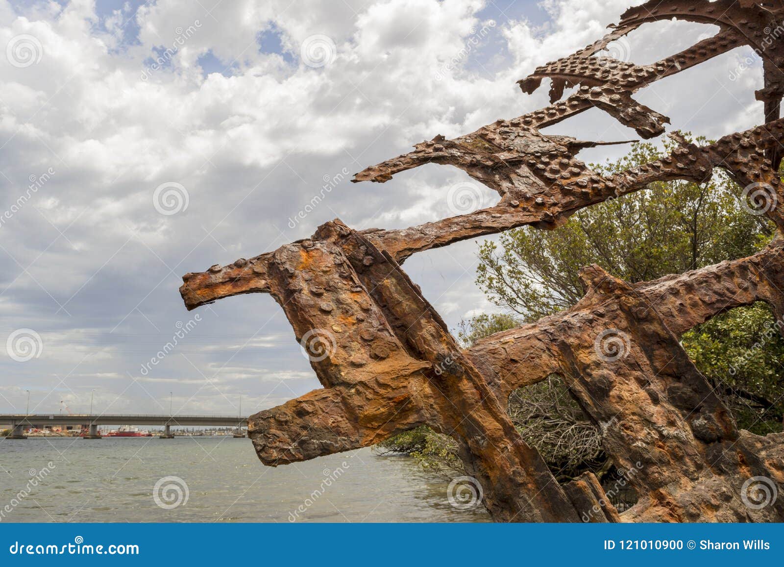 Partial View Steel Hulled Ship Wreck Garden Island Port Adela