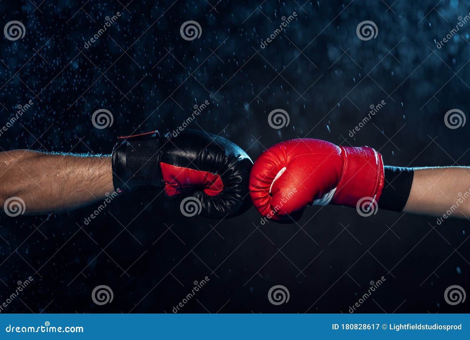 Partial View of Two Boxers in Boxing Gloves Touching Hands on Black