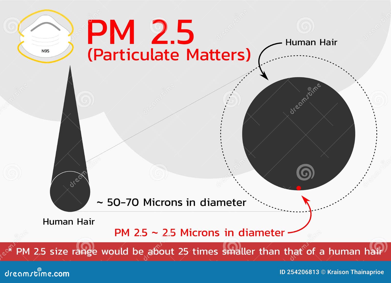 Particulate Matter 2.5 Microns , Vector Stock Vector