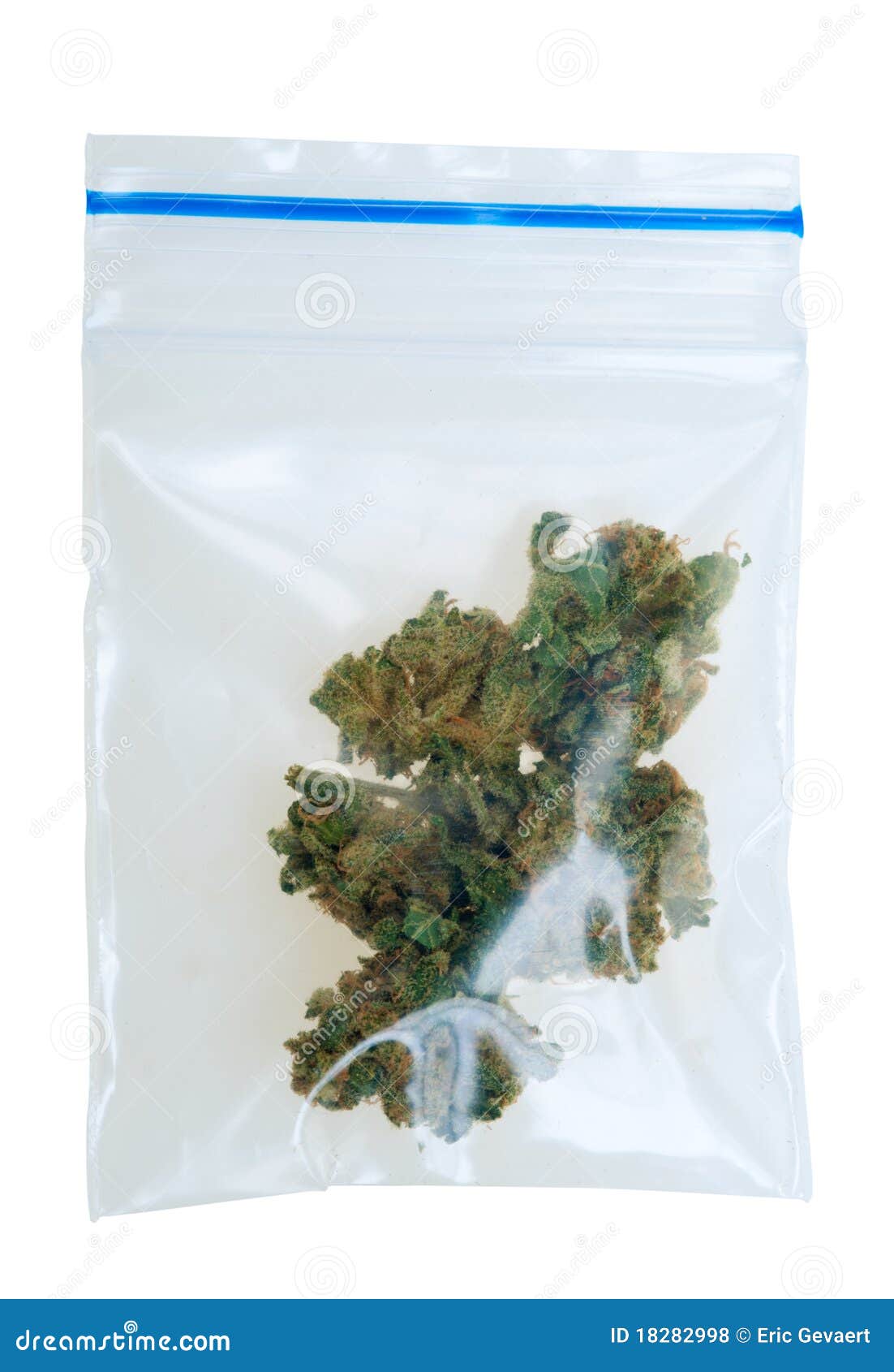 Download Parties De Cannabis Dans Un Sachet En Plastique Photo stock - Image du narcotique, vert: 18282998
