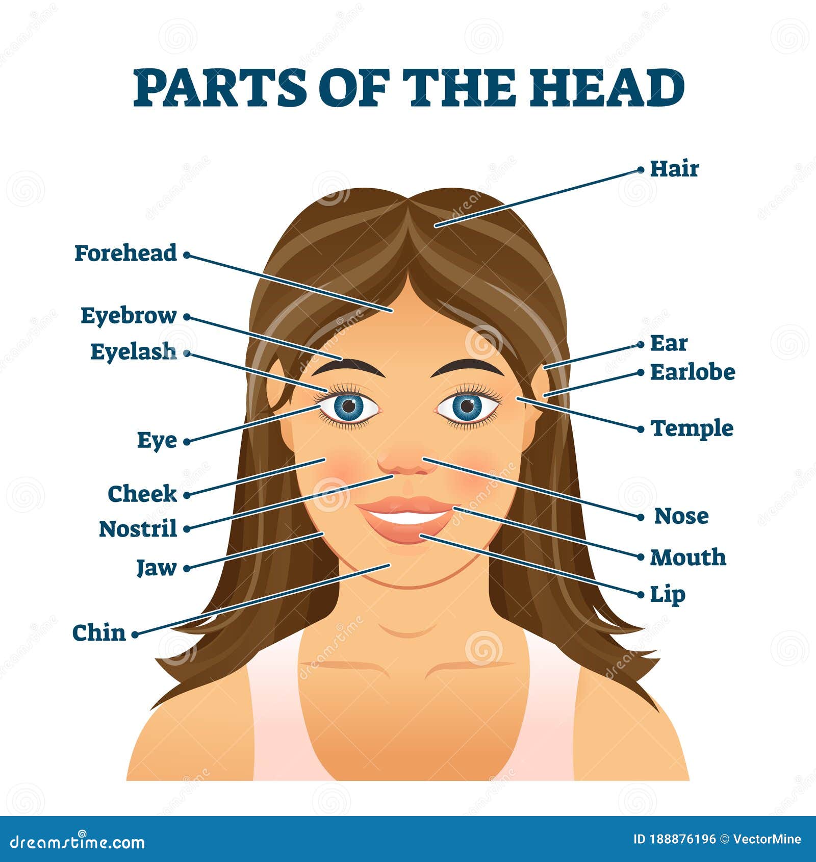 parts-of-the-head-for-english-vocabulary-words-education-vector-illustration-stock-vector