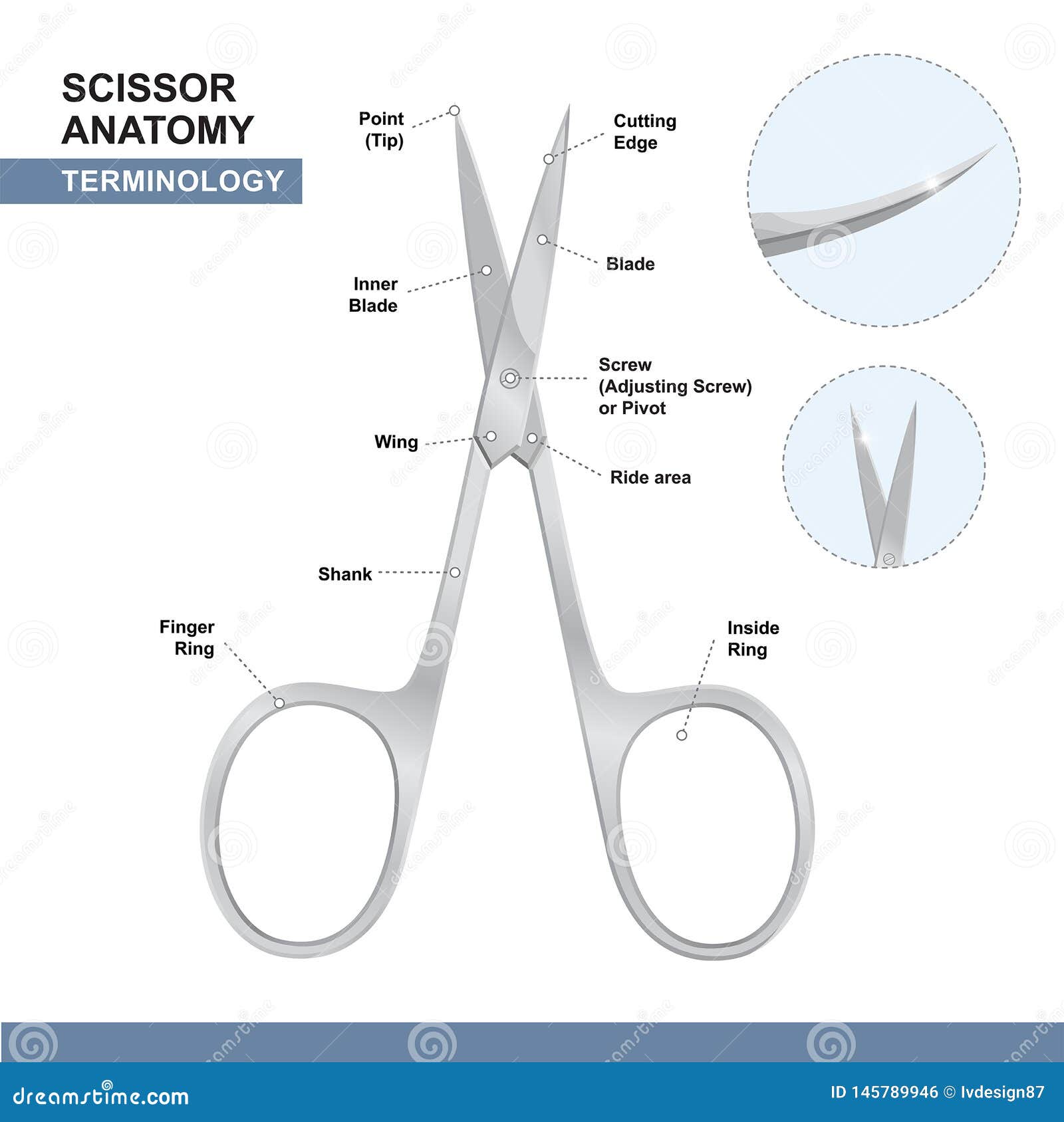 parts of nail cutting shears. terminology of scissors. manicure and pedicure care tools. 