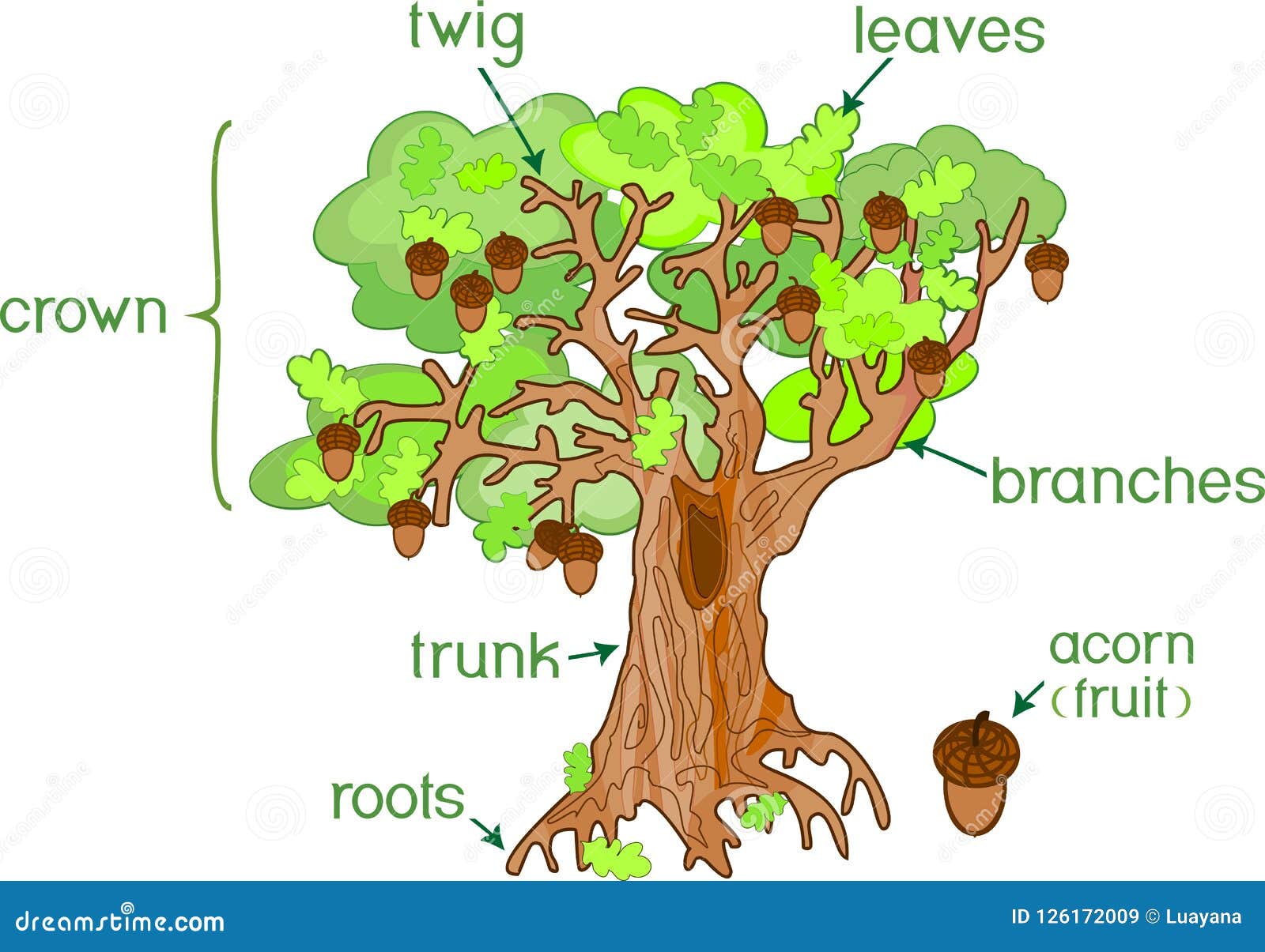 Labeled Tree