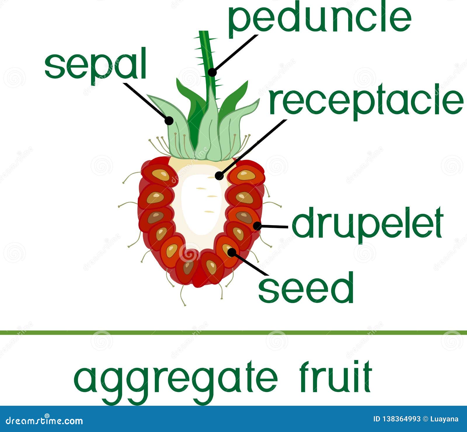 download free raspberry pruning download free raspberry pruning