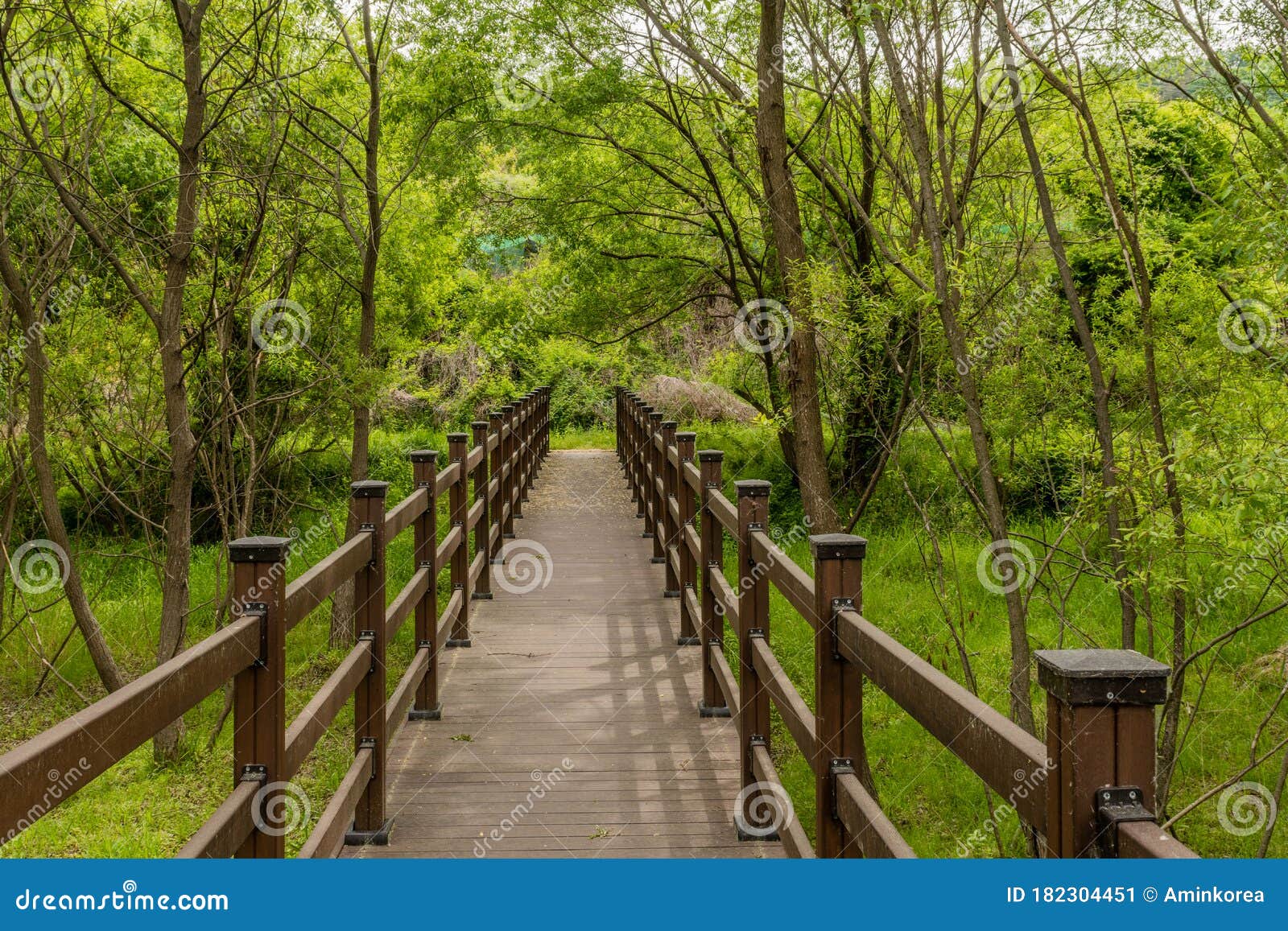 Paseo Marítimo Elevado En Parque Imagen de archivo - Imagen de corea,  pedregoso: 182304451, image size:1600x1156