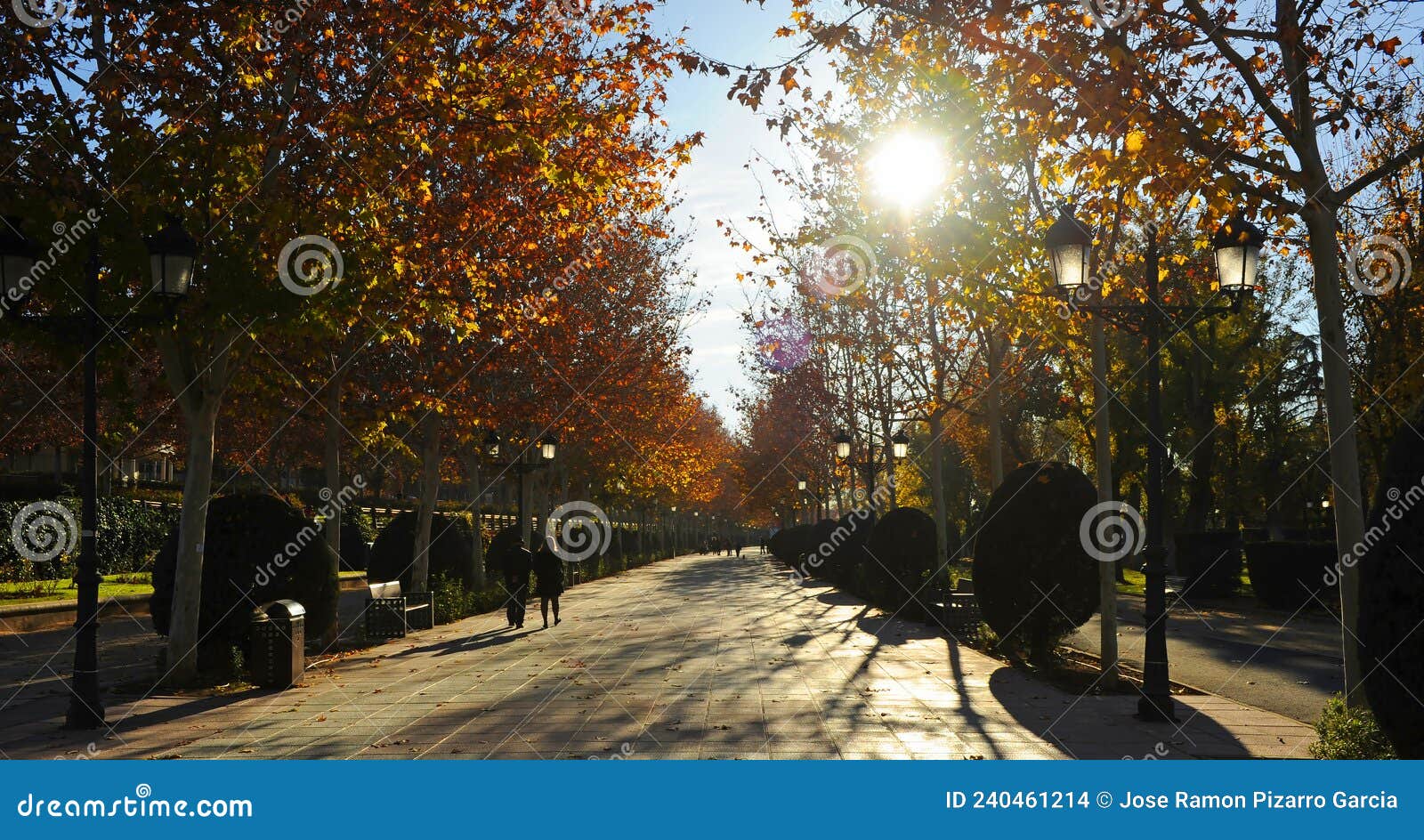 paseo por el parque gasset en otoÃÂ±o, ciudad real, espaÃÂ±a