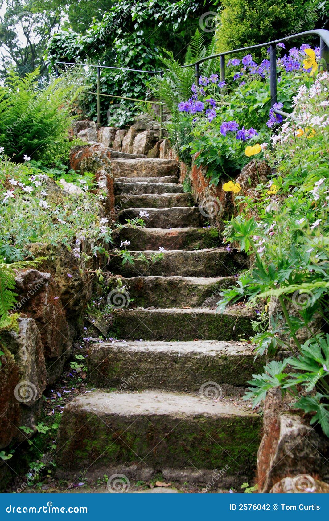 Escalones de piedra foto de archivo. Imagen de pasos, pasamanos - 2576042, image size:1067x1690