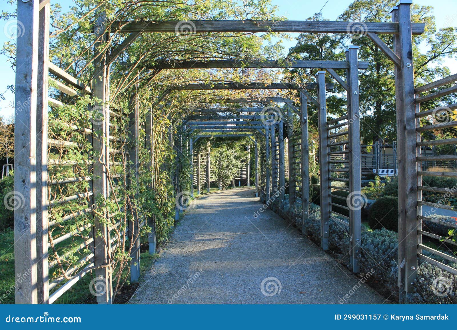 A Passage in the Fall Garden Stock Image Image of corridor, bright