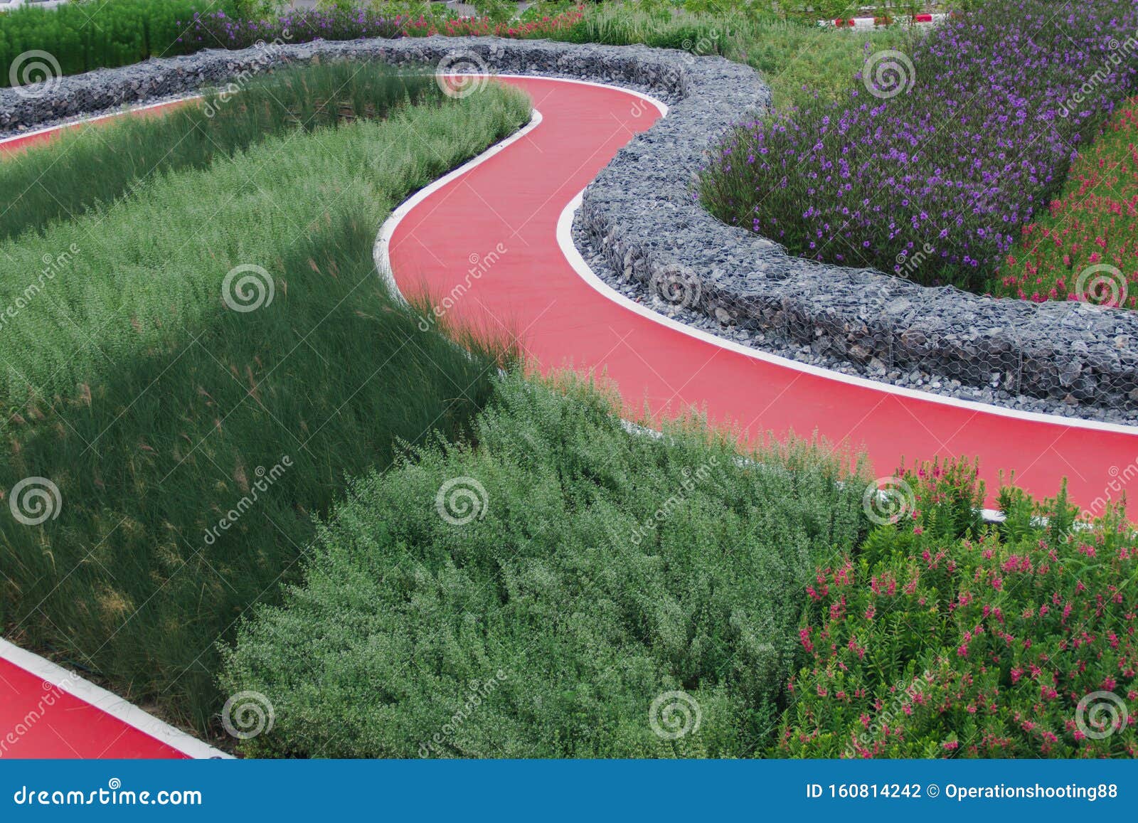 Passage in the garden stock photo. Image of countryside 160814242