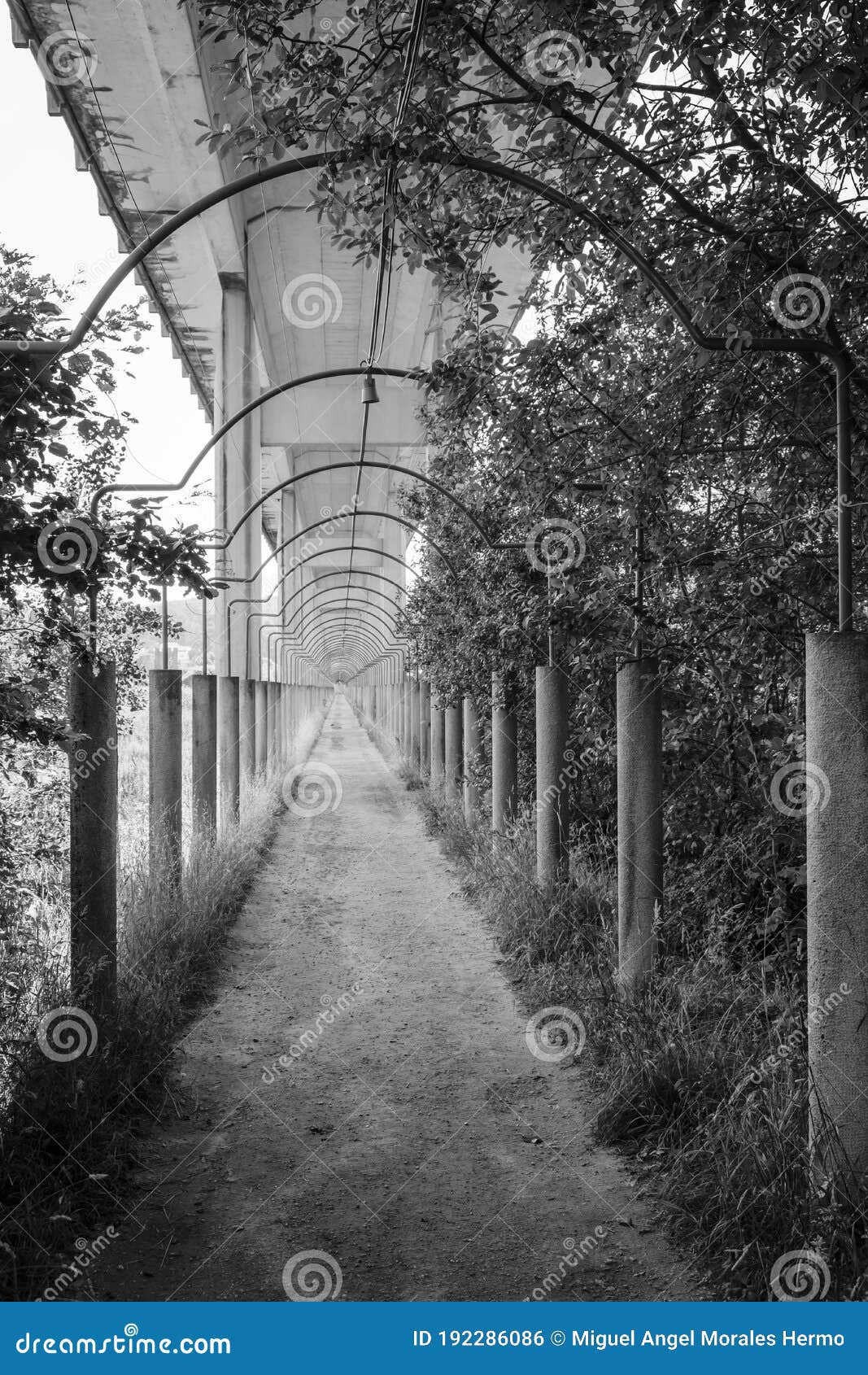 passage under a viaduct in galicia spain