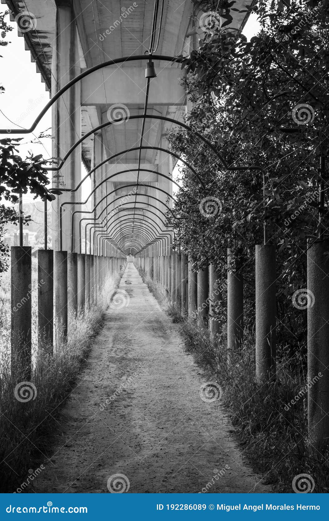 passage under a viaduct in galicia spain