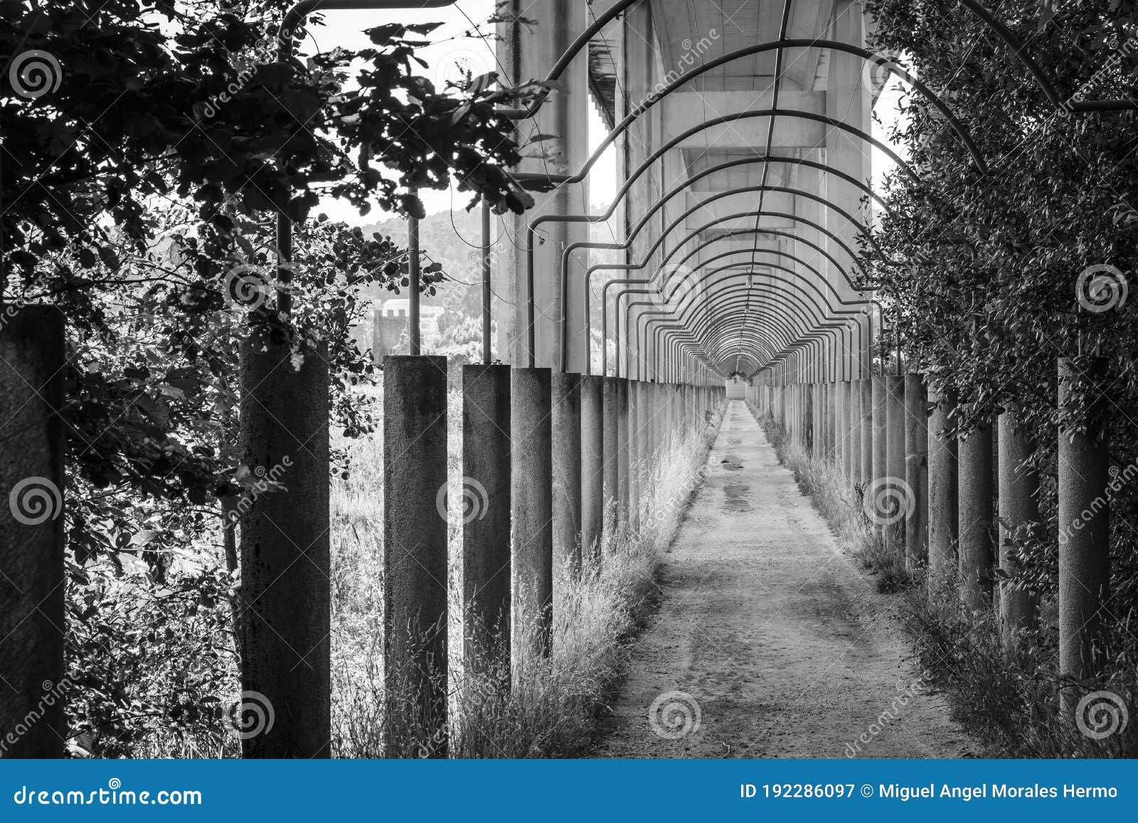 passage under a viaduct in galicia spain