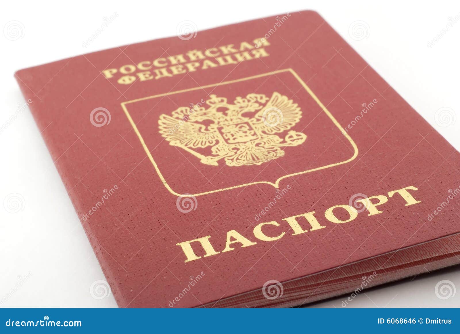 Паспорт картинка для детей
