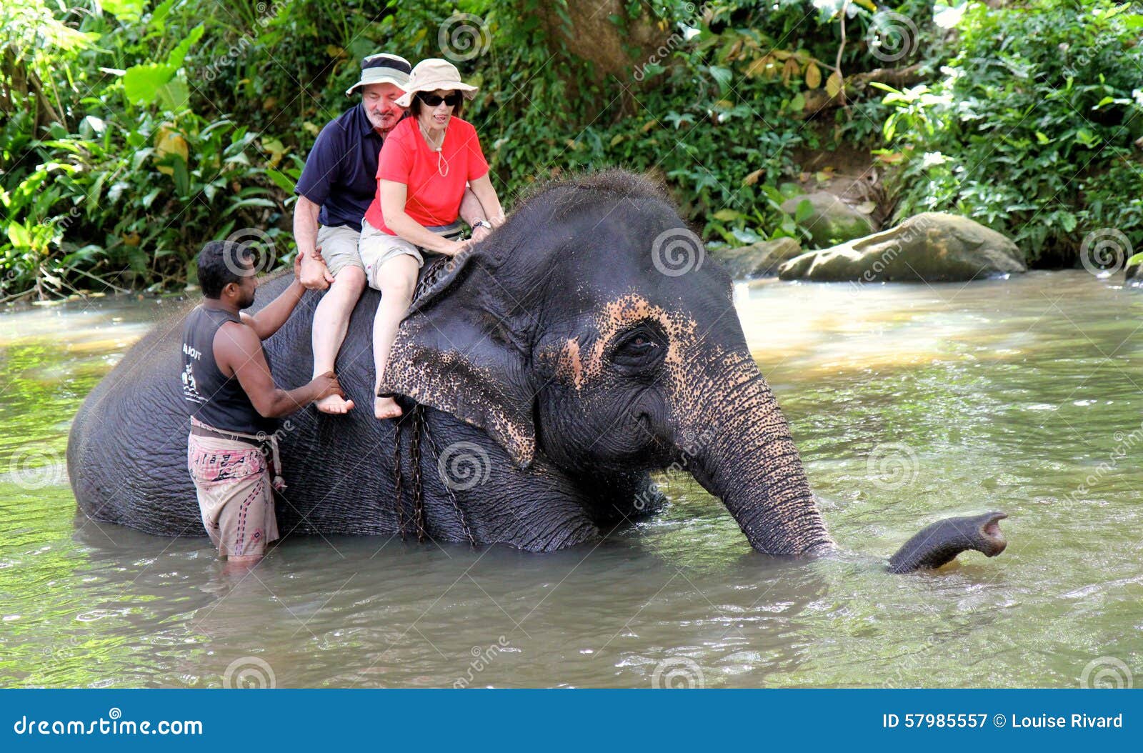 Passeio de elefante fotografia editorial. Imagem de passeio - 57985557, image size:1600x1054