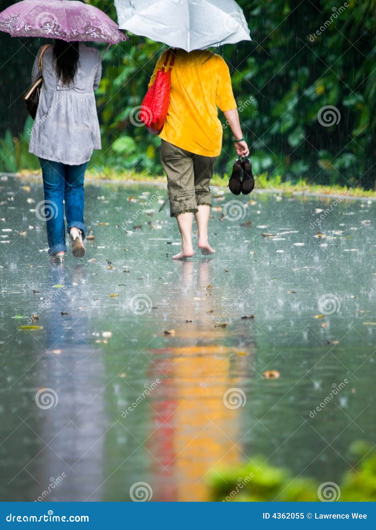 Passeio na chuva. Duas mulheres uma nos saltos e o outro passeio footed desencapado em uma chuva torrencial pesada do convectional ao longo do passeio molhado em um jardim botânico