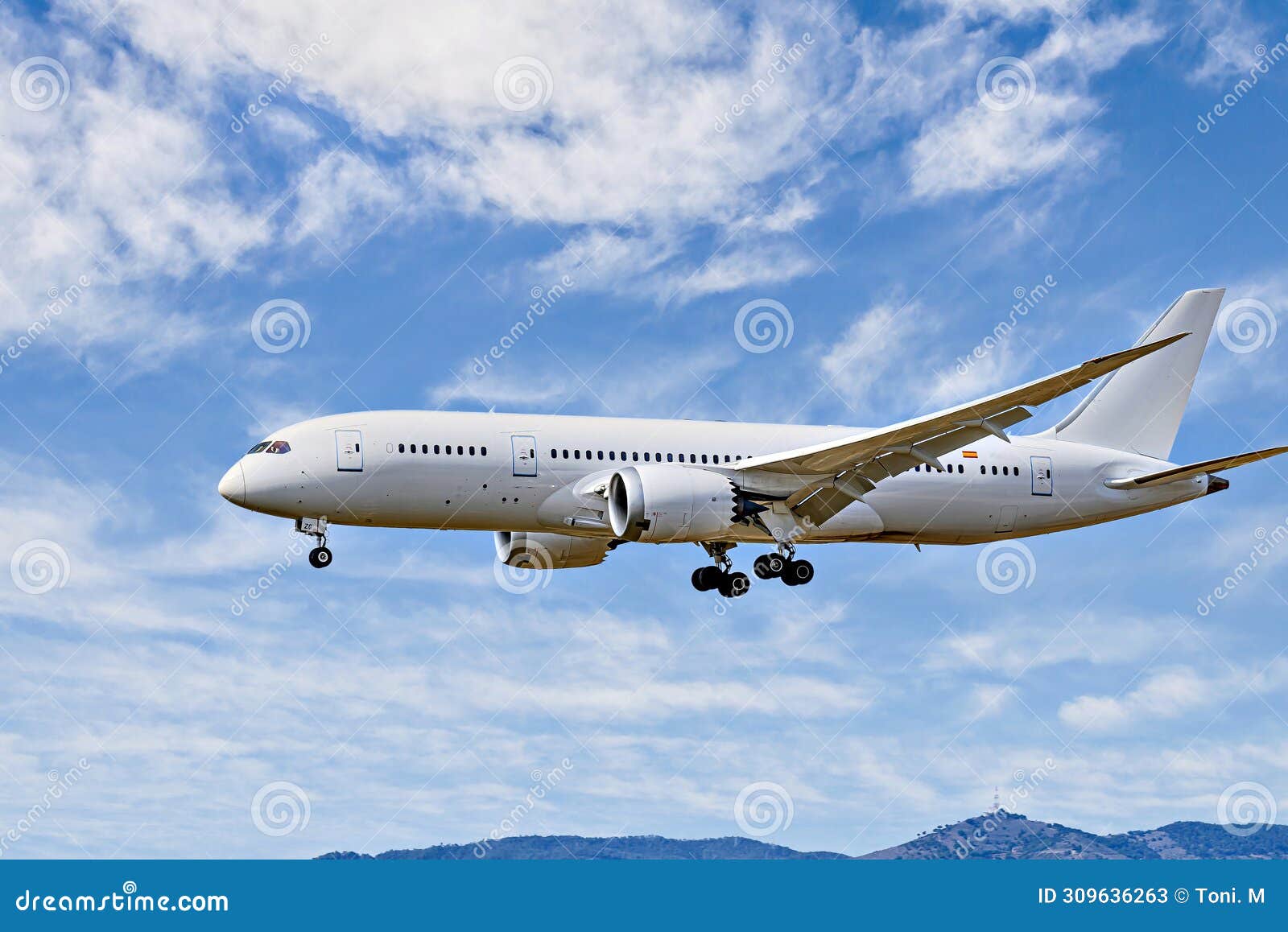 passenger plane landing at the airport